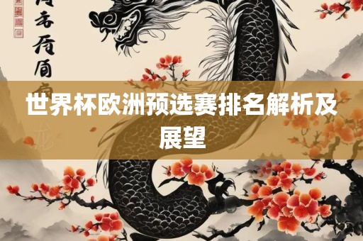 世界杯欧洲预选赛排名解析及展望