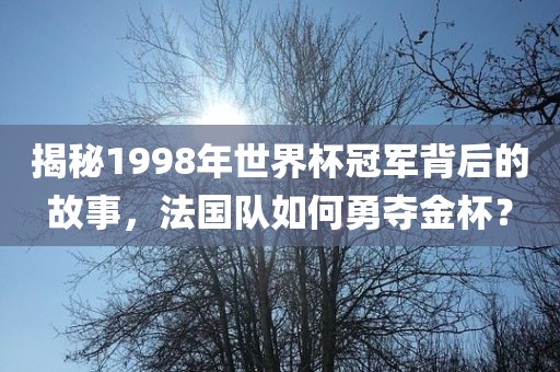 揭秘1998年世界杯冠军背后的故事，法国队如何勇夺漯河市盈旭机械设备有限公司金杯？