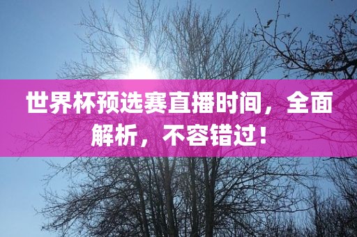 世界杯预选赛直播时间，全面解析，不容错过！