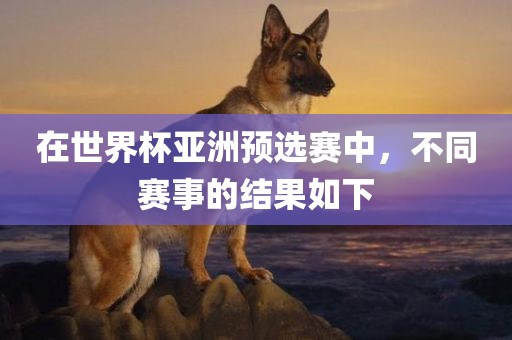 在世界杯亚洲预选赛中，不同赛事的结果如下