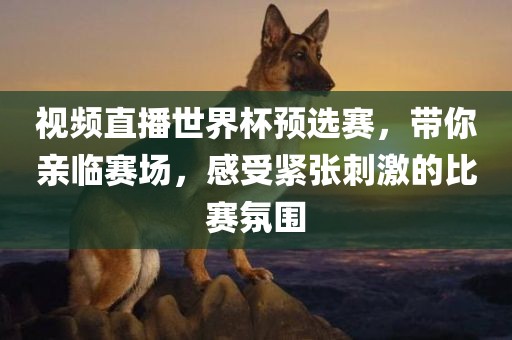 视频直播世界杯预选赛，带你亲临赛场，感受紧张刺激的比赛氛围