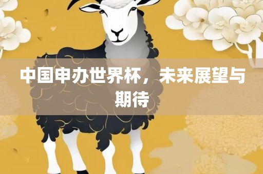 中国申办世界杯，未来展望与期待