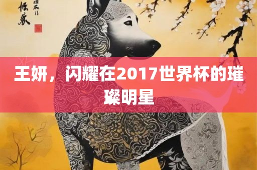 王妍，闪耀在2017世界杯的璀璨明星