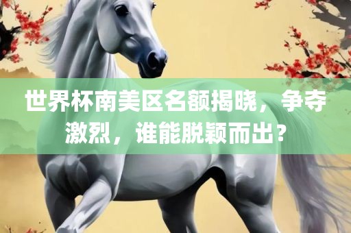 世界杯南美区名额揭晓，争夺激烈，谁能脱颖而出？