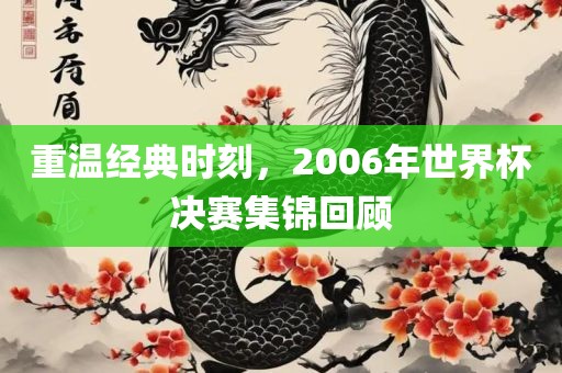 重温经典时刻，2006年世界杯决赛集锦回顾