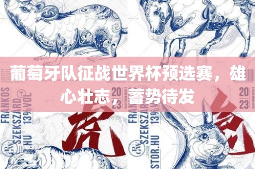 葡萄牙队征战世界杯预选赛，雄心壮志，蓄势待发