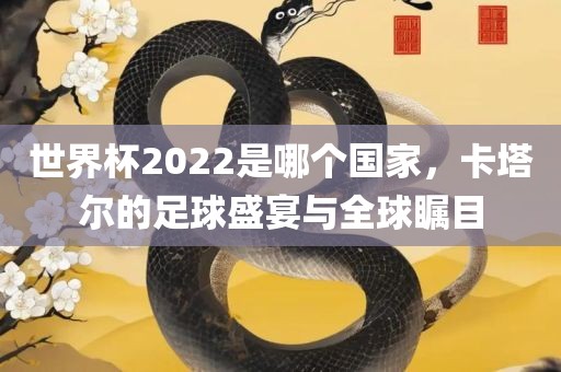 世界杯2022是哪个国家，卡塔尔的足球盛宴与全球瞩目