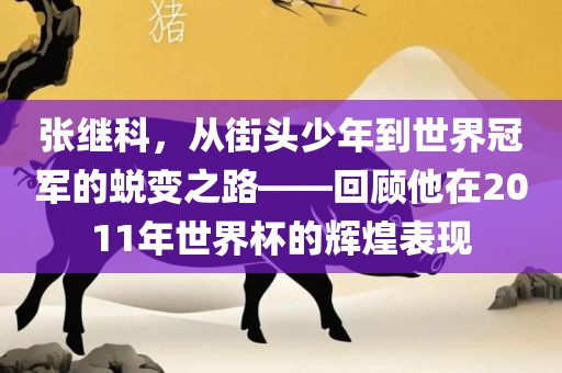 张继科，从街头少年到世界冠军的蜕变之路——回顾他在2011年世界杯的辉煌表现