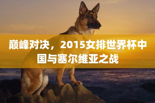 巅峰对决，2015女排世界杯中国与塞尔维亚之战
