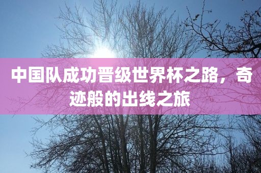 中国队成功晋级世界杯之路，奇迹般的出线之旅
