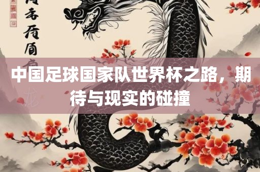 中国足球国家队世界杯之路，期待与现实的碰撞
