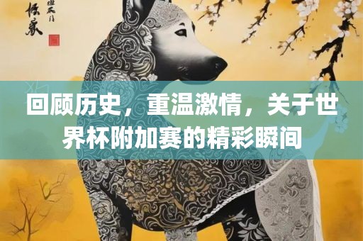 回顾历史，重温激情，关于世界杯附加赛的精彩瞬间