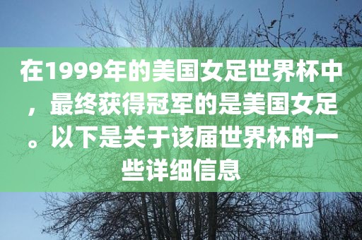在1999年的美国女足世界杯中，最终获得冠军的是美国女足。以下是关于该届世界杯的一些详细信息