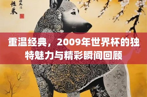 重温经典，2009年世界杯的独特魅力与精彩瞬间回顾