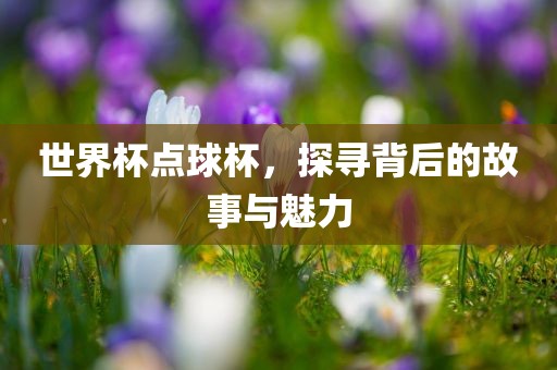 世界杯点球杯，探寻背后的故事与魅力