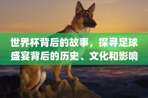 zangjieliang 第5页