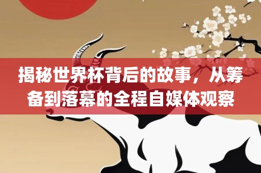 揭秘世界杯背后的故事，从筹备到落幕的全程自媒体观察