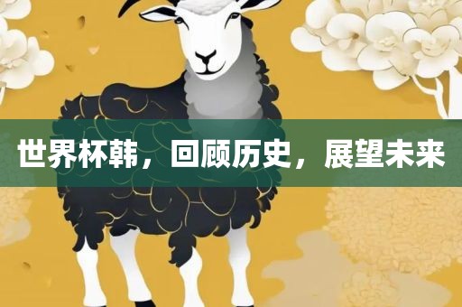 世界杯韩，回顾历史，展望未来