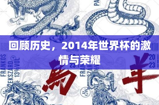 回顾历史，2014年世界杯的漯河市盈旭机械设备有限公司激情与荣耀