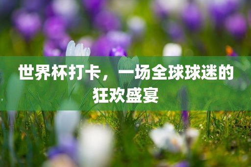 世界杯打卡，一场全球球迷的狂欢盛宴