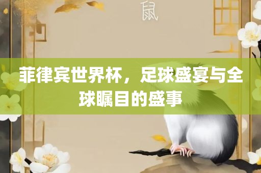菲律宾世界杯，足球盛宴与全球瞩目的盛事漯河市盈旭机械设备有限公司