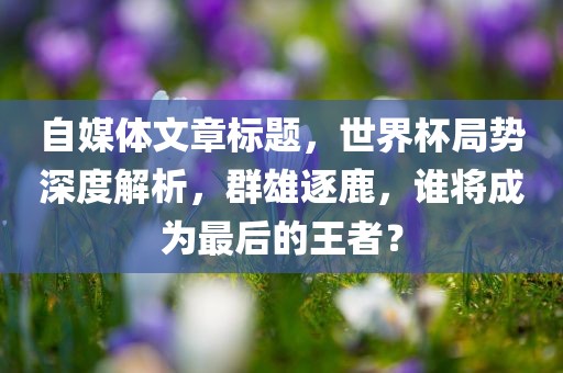 自媒体文章标题，世界杯局势深度解析，群雄逐鹿，谁将成为最后的王者？