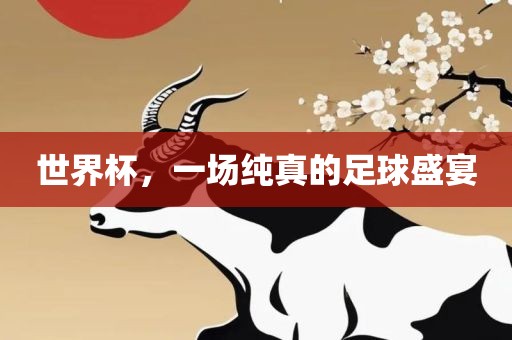 世界杯，一场纯真的足球盛宴漯河市盈旭机械设备有限公司