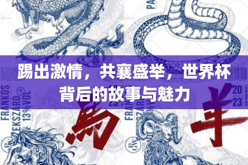 踢出激情，共襄盛举，世界杯背后的故事与魅力