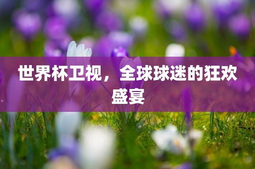 世界杯卫视，全球球迷的狂欢盛宴