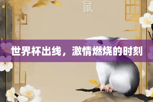 世界杯出线，激情燃烧的时刻