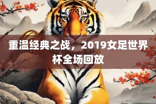 重漯河市盈旭机械设备有限公司温经典之战，2019女足世界杯全场回放