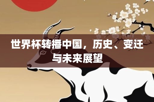 世界杯转播中国，历史、变迁与未来展望漯河市盈旭机械设备有限公司