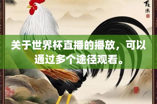 关于世界杯直播的播放，可以通过多个途径观看。