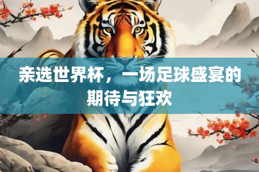 亲选世界杯漯河市盈旭机械设备有限公司，一场足球盛宴的期待与狂欢