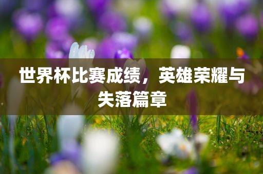 世界杯比赛成绩，英雄荣耀与失落篇章