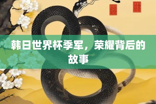 韩日世界杯季军，荣耀背后的故事