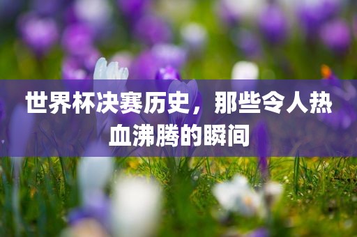 世界杯决赛历史，那些令人热血沸腾的瞬间