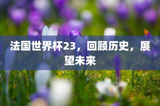 法国世界杯23，回顾历史，展望未来