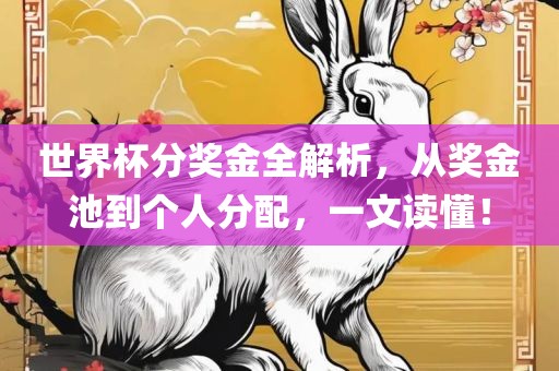 世界杯分奖金全解析，从奖金池到个人分配，一文读懂！
