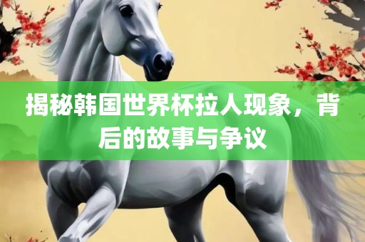 揭秘韩国世界杯拉人现象，背后的故事与争议