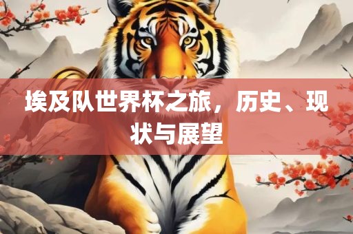 埃及队世界杯之旅，历史、现状与展望漯河市盈旭机械设备有限公司
