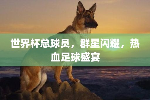 世界杯总球员，群星闪耀，热血足球盛宴漯河市盈旭机械设备有限公司