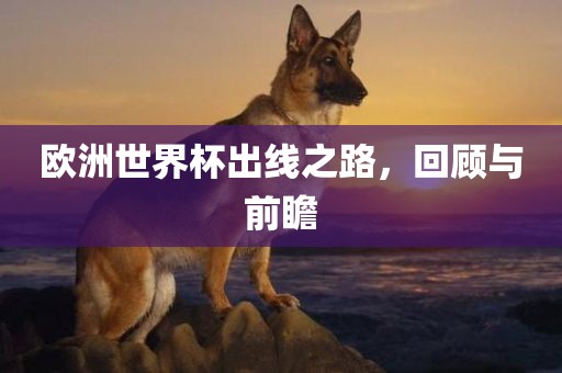 欧洲世界杯出线之路，回顾与前瞻