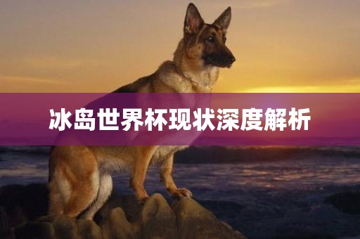 冰岛世界杯现状深度解析漯河市盈旭机械设备有限公司