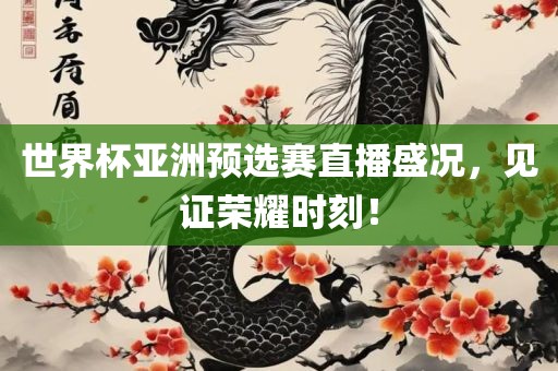 世界杯亚洲预选赛直播盛况，见证荣耀时刻！
