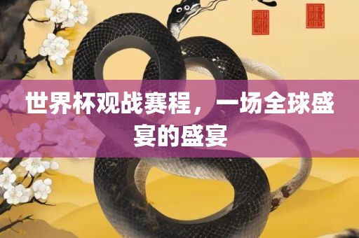 世界杯观战赛程，一场全球盛宴的盛宴