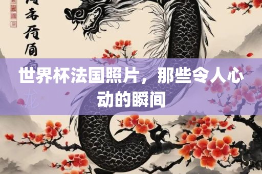 世界杯法国照片，那些令人心动的瞬间