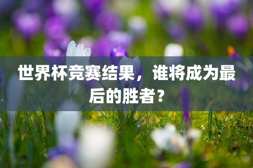 世界杯竞赛结果，谁将成为最后的胜者？