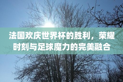 法国欢庆世界杯的胜利，荣耀时刻与足球魔力的完美融合
