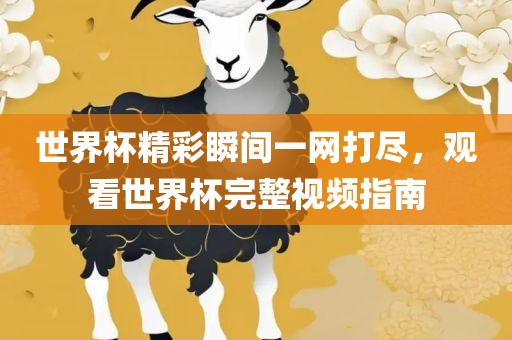 世界杯精彩瞬间一网打尽，观看世界杯完整视频指南